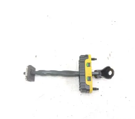 Rear door check strap stopper