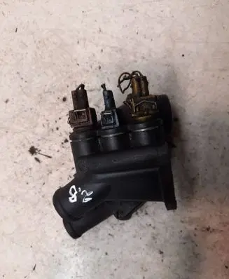 Thermostat/thermostat housing