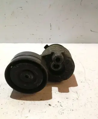 Volvo S40, V40 Alternator belt tensioner 069140 6190101