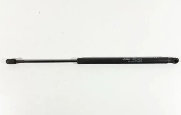 Tailgate/trunk strut/damper