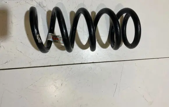 Ford Mustang VI Rear coil spring JR3C5560AC