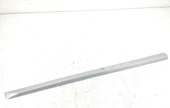 Volkswagen Passat Alltrack Front door trim (molding) 