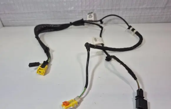Other wiring loom