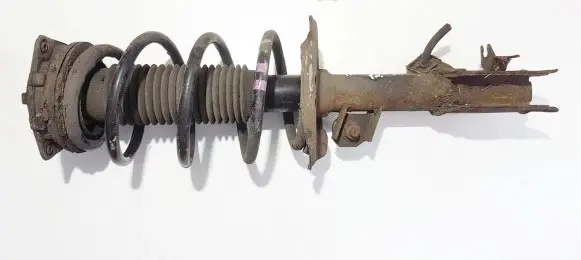 Nissan Qashqai Front shock absorber/damper 54302jd01a 824903002933