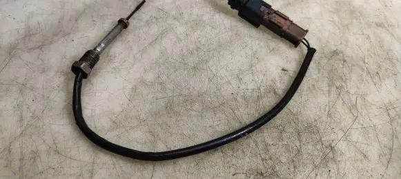 Peugeot 5008 Exhaust gas temperature sensor 9665090280 06P020030