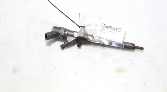 Peugeot 607 Fuel injector 0445110036