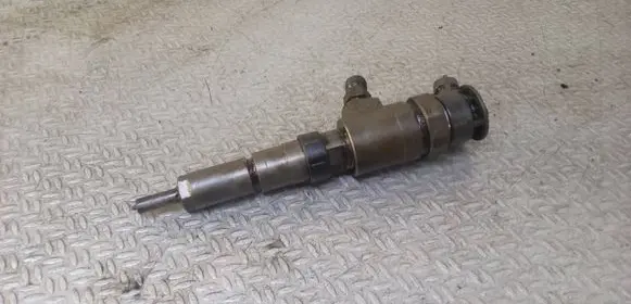 Citroen C3 Fuel injector 0445110252