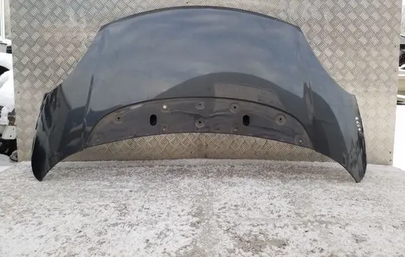 Fiat 500L Engine bonnet/hood 
