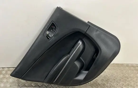 Dodge Charger Rear door card panel trim 1TQ411X9AJ 6026050 EH166324