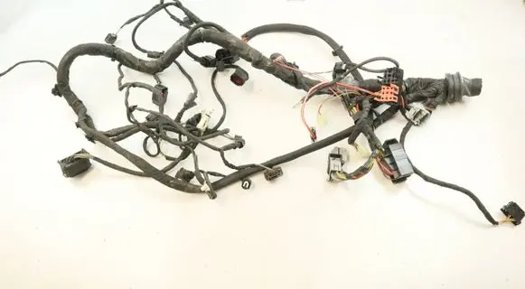 BMW M6 Other wiring loom 9181533 61119181533