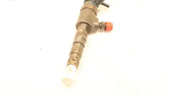 Citroen C3 Fuel injector 0445110339