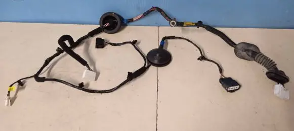KIA Carens III Rear door wiring loom 91660A4070