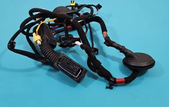Front door wiring loom