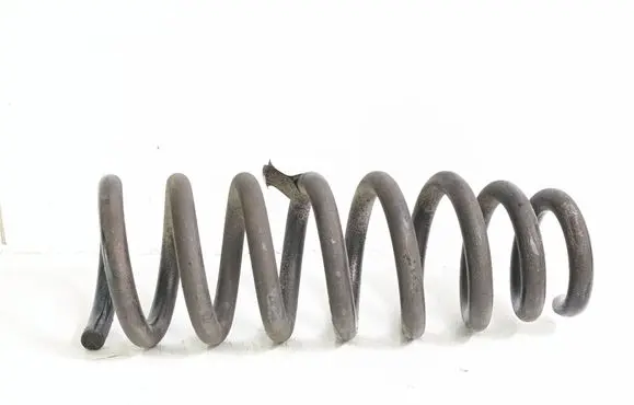 Rear coil spring