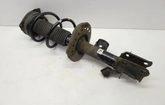 Nissan Juke I F15 Front shock absorber with coil spring 543031K02A