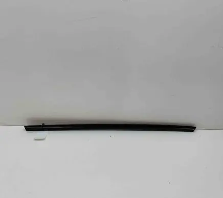 Rear door glass trim molding