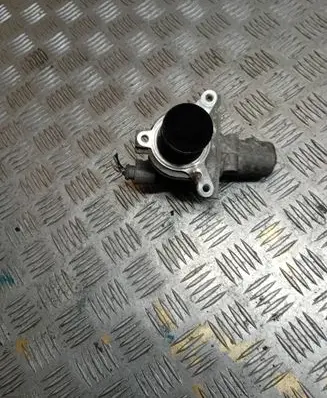 EGR valve