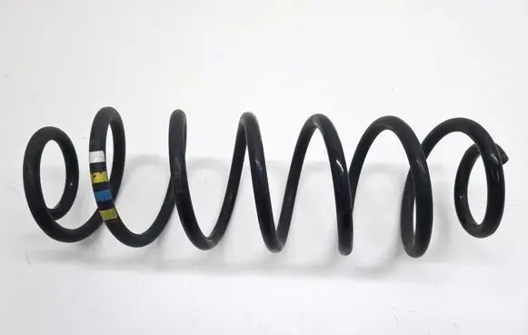 Rear coil spring
