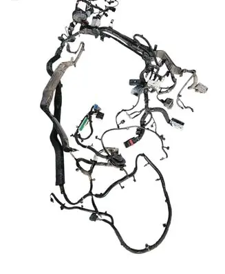Other wiring loom