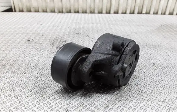 Citroen Berlingo Generator/alternator belt tensioner