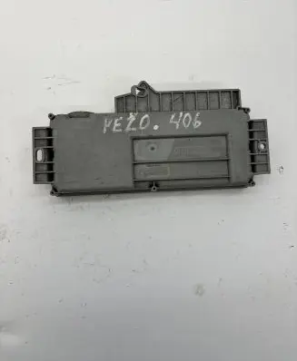 Peugeot 406 Other control units/modules 9624030780