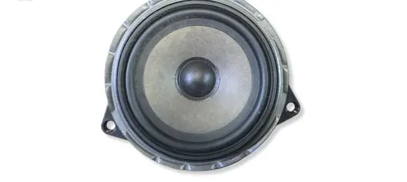 BMW 3 E90 E91 Rear door speaker 