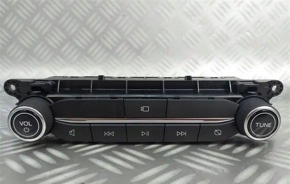 Ford Kuga III Head unit multimedia control LJ6T18K811BB
