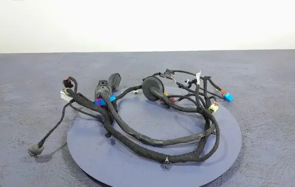 Other wiring loom