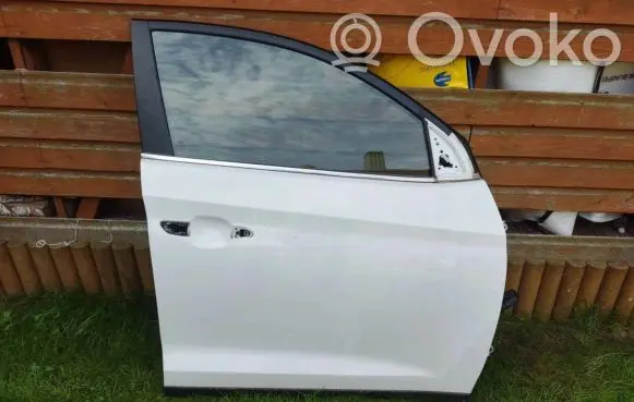Hyundai Tucson TL Front door