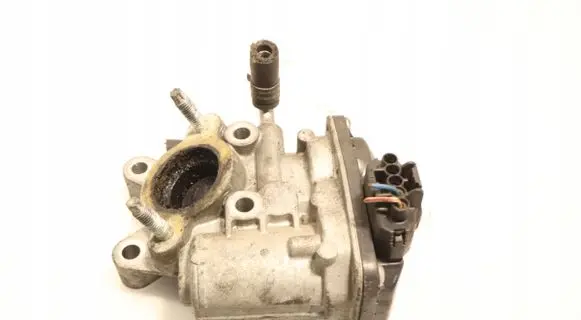 EGR valve