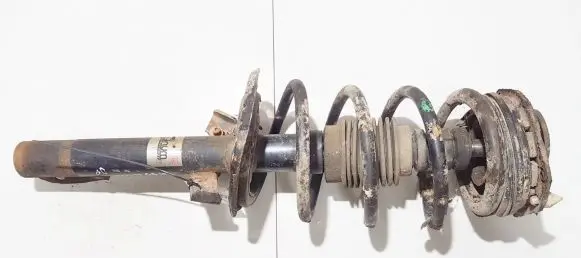 Front coil spring