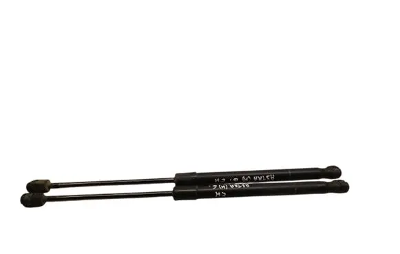 Tailgate/trunk strut/damper