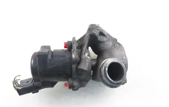 EGR valve