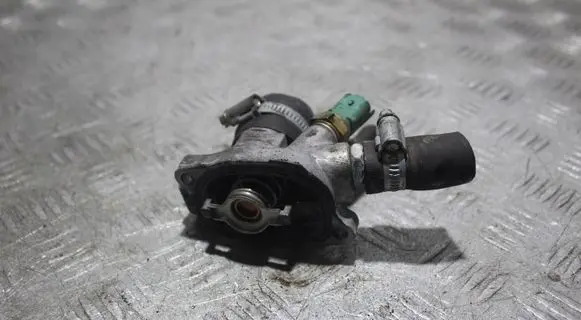 Thermostat/thermostat housing