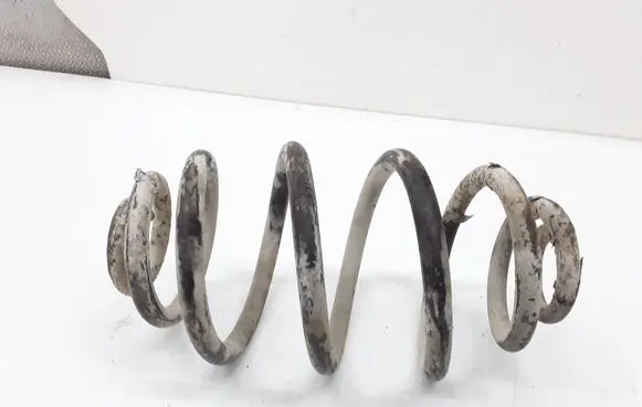 Volkswagen PASSAT B5 Rear coil spring