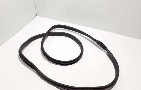 Dacia Logan II Front door rubber seal 768601599R