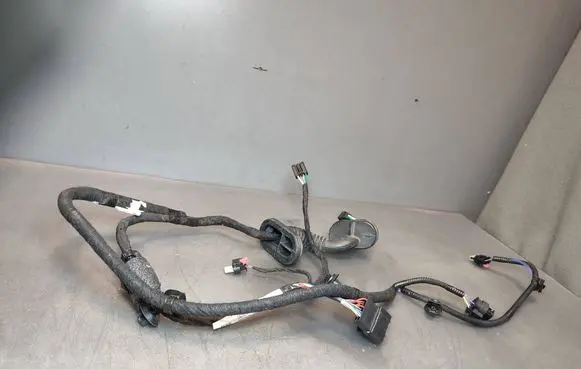 Tesla Model 3 Highland Rear door wiring loom 189732300B