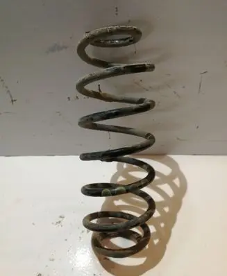 Rear coil spring