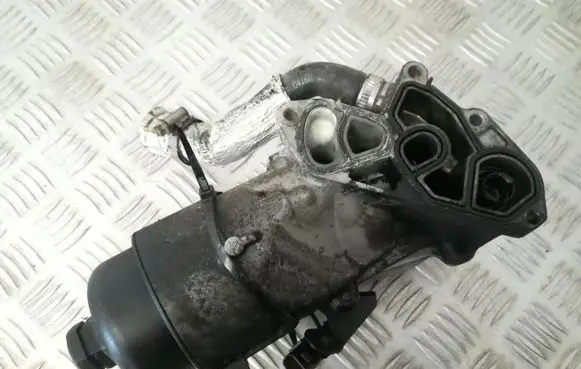 Peugeot 407 Oil filter cover 