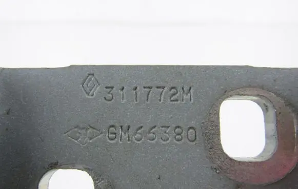 Nissan Primastar Front door hinge set 311772M