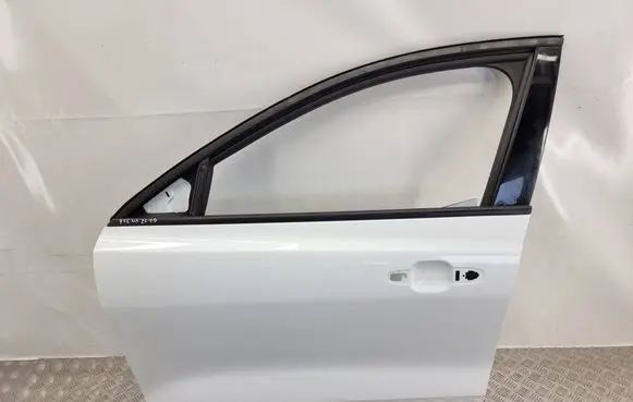 Ford Focus Front door 