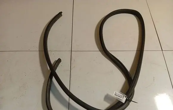 Renault Scenic I Rubber seal rear door 