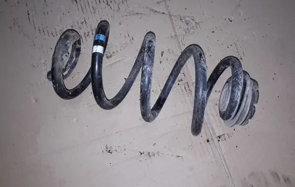 Nissan Qashqai Rear coil spring NOCODE