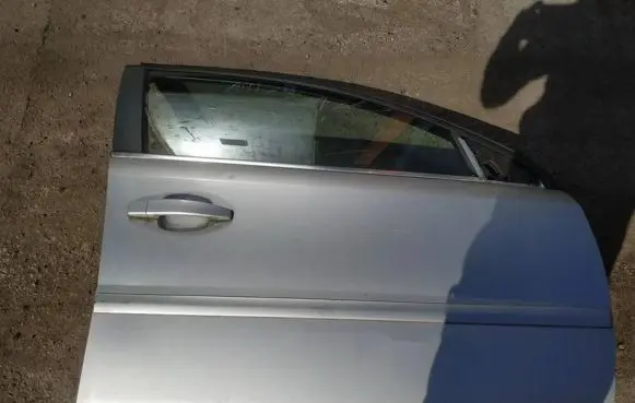 Opel Signum Front door pilkos