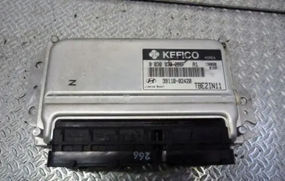 Hyundai Getz Engine control unit/module 3911002420