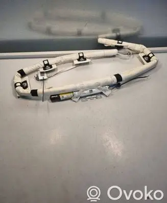 Ford Focus Roof airbag 1B6291601