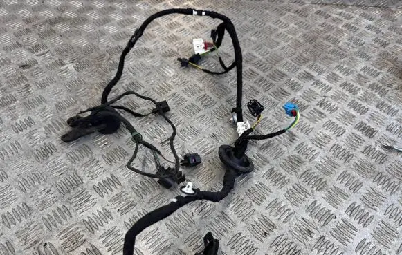 Audi SQ7 Front door wiring loom 4M0971029GS