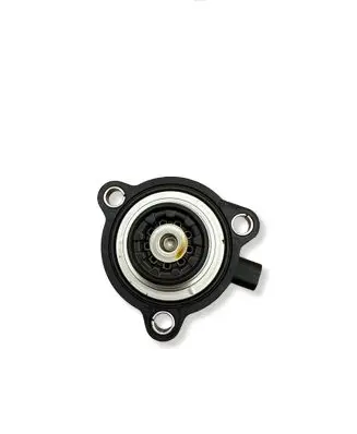 Hyundai i20 (BC3 BI3) Vacuum valve 394502M400 70698104
