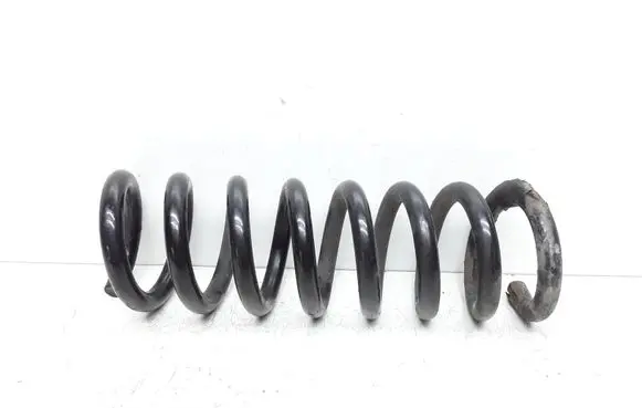 Rear coil spring