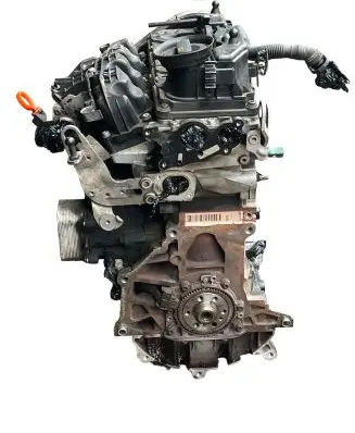 Skoda Octavia Mk2 (1Z) Engine CAYC